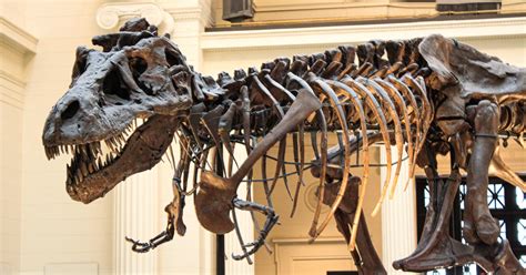 22 Best Dinosaur Museums in the US and Other Attractions.